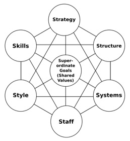 Tom Peters and Robert Waterman, In Search of Excellence (1982)