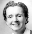 Rachel Carson - Success and Environmentalism