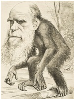 Charles Darwin - Creativity and Science