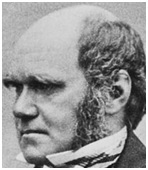Charles Darwin - Creativity and Science