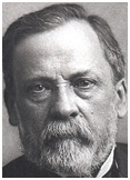 Louis Pasteur - Creativity and Science