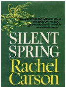 Rachel Carson - Success and Environmentalism