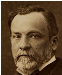 Louis Pasteur - Creativity and Science