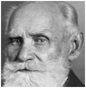 Ivan Pavlov - Psychology and Learning