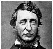 Henry David Thoreau - Philosophy, Success and Happiness